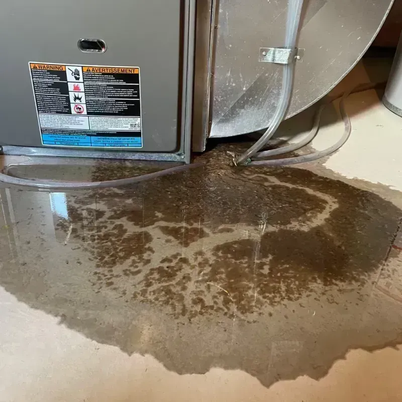 Appliance Leak Cleanup in Godfrey, IL